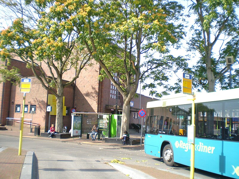 Ofbyld:Bussum-Naarden Stasjon NS 21.JPG