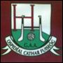 Íomhá:HospitalHerbertstownGAA.jpg