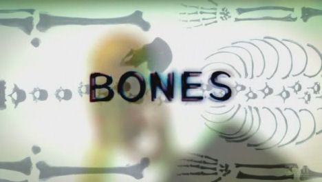 קובץ:Bones title.jpeg