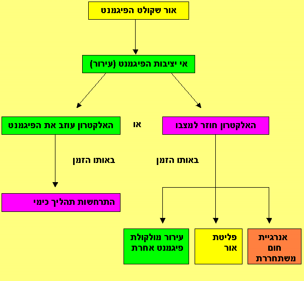 קובץ:Pgmnt.GIF