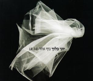 קובץ:Yoni DifView.jpg