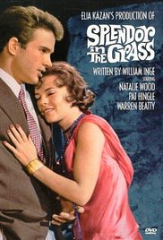 קובץ:Splendor in the Grass poster.jpg