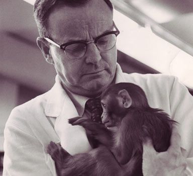 קובץ:Harry Harlow and monkey.jpg