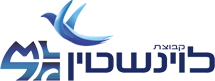 קובץ:Levinstein-Logo.png