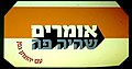 תמונה ממוזערת לגרסה מ־22:46, 9 בינואר 2019