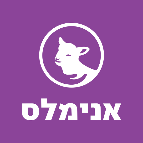 קובץ:לוגו עמותת אנימלס.png