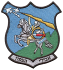 טייסת 110