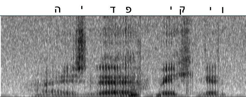 קובץ:Wiki phono.jpg