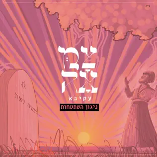 קובץ:השתטחות.webp