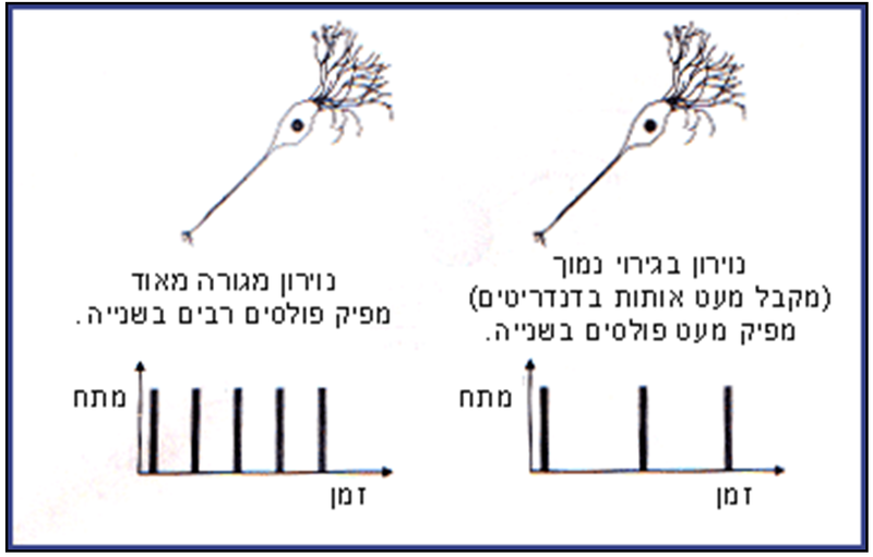 קובץ:Painty3.png