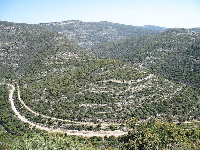 קובץ:נחל שורק.JPG