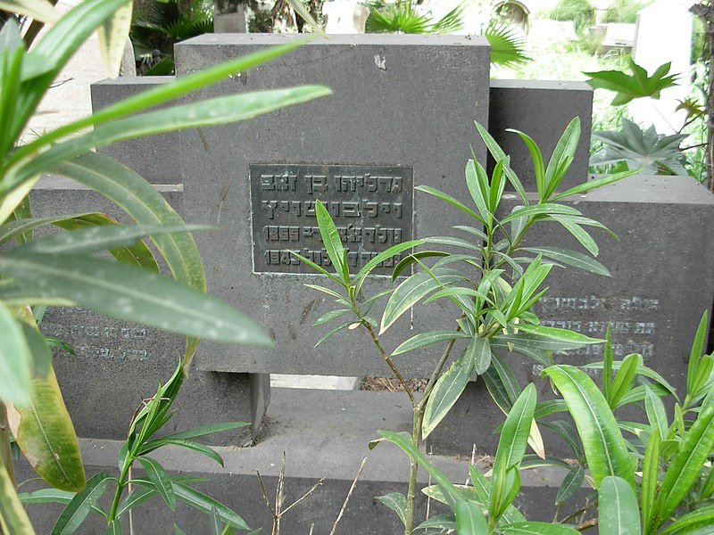 קובץ:Gedalyahu Wilbuszewicz's grave site.JPG