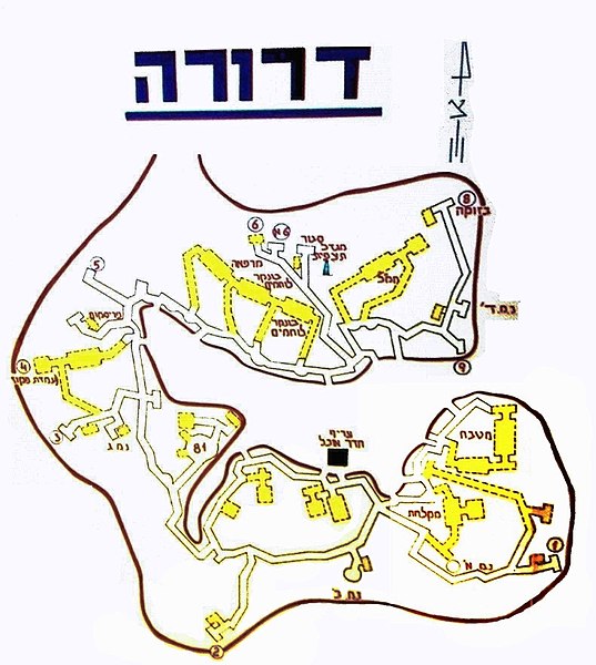 קובץ:Drora.JPG