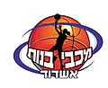 סמל הקבוצה עד לשנת 2013