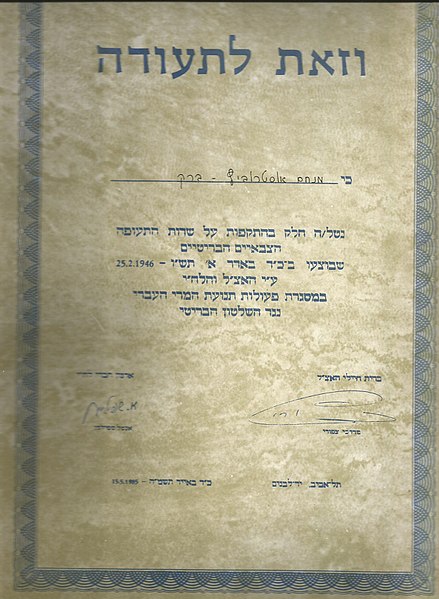 קובץ:Airports attack 1946.jpg