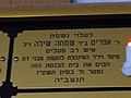 תמונה ממוזערת לגרסה מ־04:31, 3 באוגוסט 2012