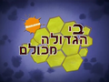 תמונה ממוזערת לגרסה מ־21:05, 16 באוגוסט 2020