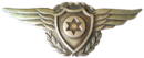 סמל כומתה של חיל האוויר בשנים 49–52