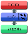 תמונה ממוזערת לגרסה מ־13:41, 24 באוקטובר 2011