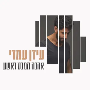 קובץ:אהבה ממבט ראשון עידן עמדי.webp