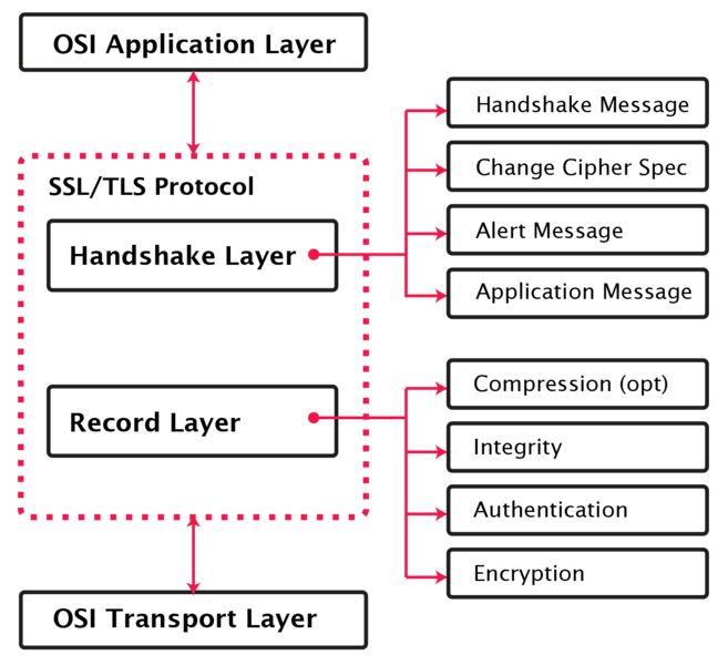 קובץ:SSL Structure.png