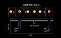 תמונה ממוזערת לגרסה מ־09:35, 23 באוגוסט 2016