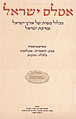 תמונה ממוזערת לגרסה מ־00:39, 26 באוקטובר 2013