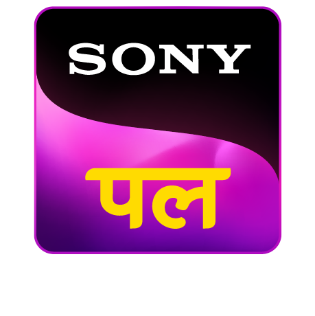 चित्र:Sony Pal new.png