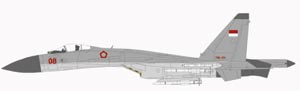 चित्र:Sukhoi 30 Diagram.jpg