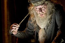 Dumbledore and Elder Wand.JPG