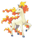 Datoteka:Rapidash.png