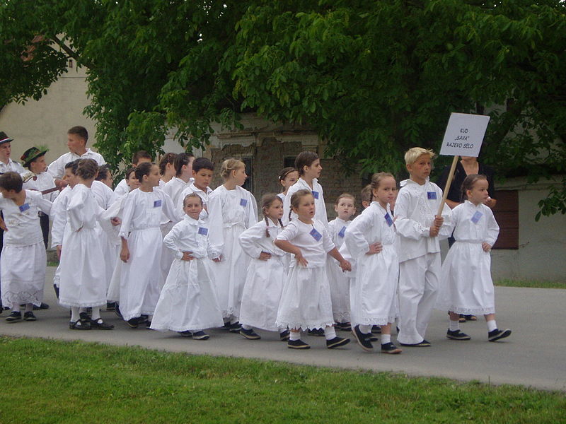 Datoteka:KUD Sava iz Rajevog Sela.JPG