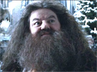 Fájl:Hagrid.jpg