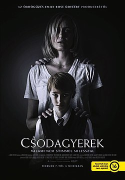 A film plakátja