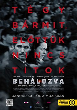 A film hazai plakátja