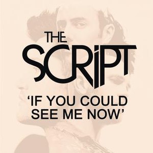 «If You Could See Me Now» սինգլի շապիկը (The Script, 2013)