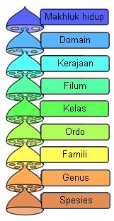 Gambar mini seharga Famili (biologi)