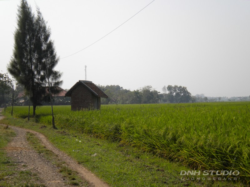 Berkas:Karang Anyar1.jpg