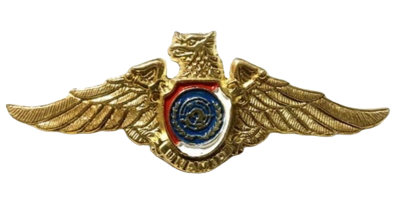 Berkas:UNAMID Badge.png