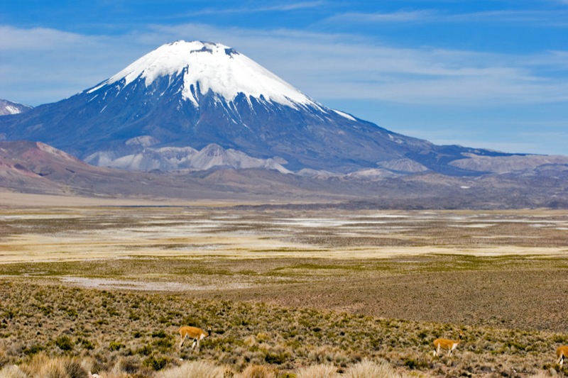 Berkas:Taman Nasional Lauca.jpg