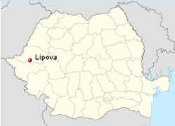Lokasi Lipova, Arad