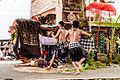 Lomba Barong Bangkung se Kabupaten Tabanan