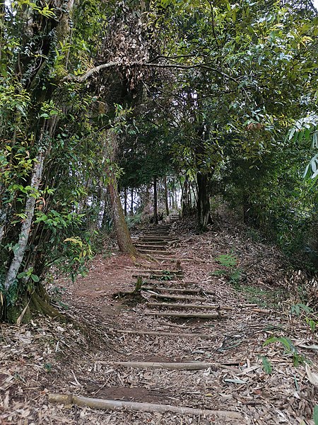 Berkas:Taman Nasional Halimun Salak Hutan1.jpg