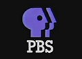 Logo ketiga PBS (1984-1998)
