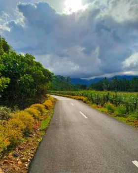 Jalan di Desa Mattampapole