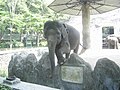 Gajah di Kebun Binatang Ragunan