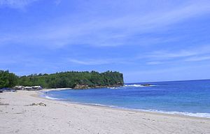 Pasir putih yang berada di pesisir Pantai Tambakrejo