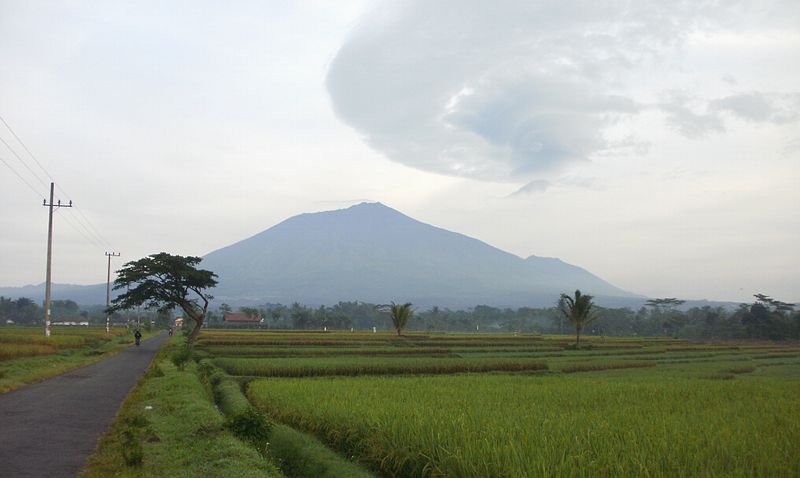 Berkas:Purwoasri.jpg