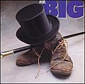 Mr. Big (1989)