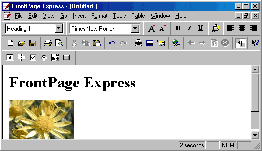 frontpage express_Frontpage Express eignet sich600 _Microsoft ...